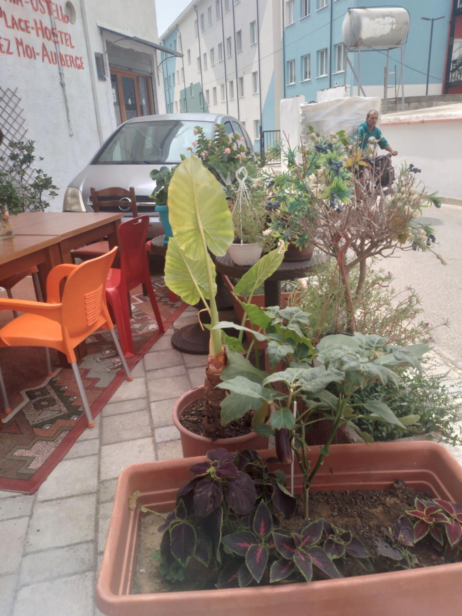 Casa Mia Hostel Vlorë Εξωτερικό φωτογραφία