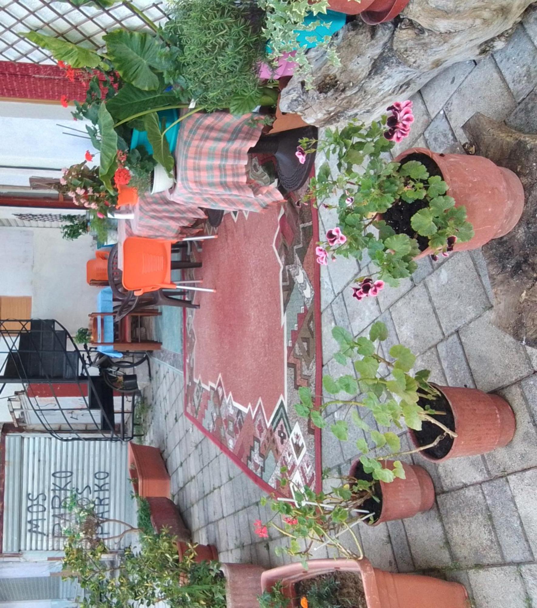 Casa Mia Hostel Vlorë Εξωτερικό φωτογραφία